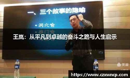 王岚：从平凡到卓越的奋斗之路与人生启示